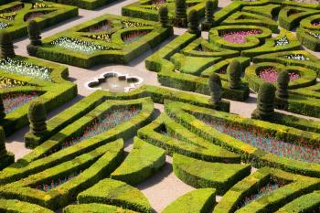 Gardens of the Chateau de Villandry, France