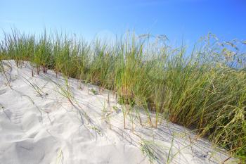 White sand dunes with grass and blue sky