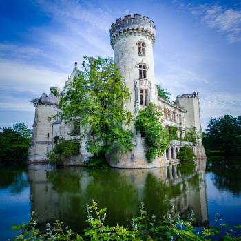 La Mothe Chandeniers, ruin of a french castle in the Nouvelle-Aquitaine region, France, Europe