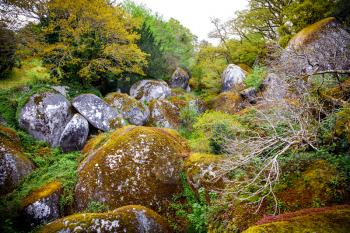Boulders in the forest at Huelgoat in Brittany, France