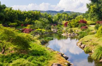 Japanese garden and nature in spring