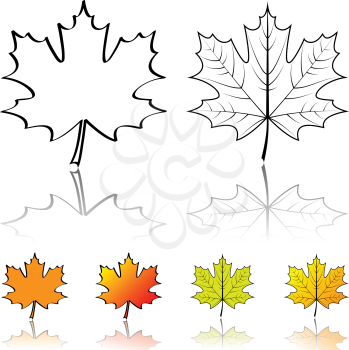 Royalty Free Clipart Image of Maples Leaves