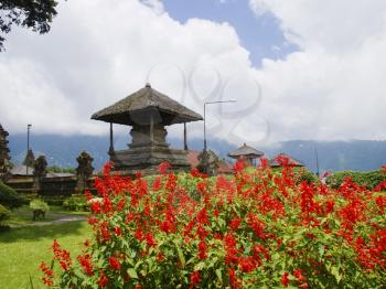 Ulun Danau Temple garden on lake Beratan. Red flowers patch. Bali, Indonesia
