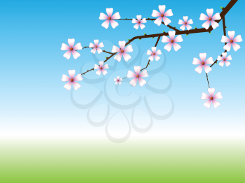 Spring background with blossoming tree branch with copy space.
