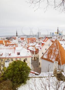 Tallinn old town clay tiles roofs at winter.