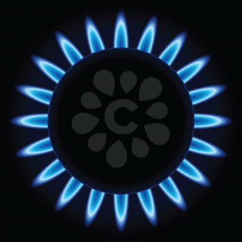 Blue flames ring of kitchen gas burner isolated on black background.