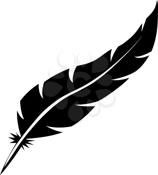 Blank bird feather vector shape isolated on white background.