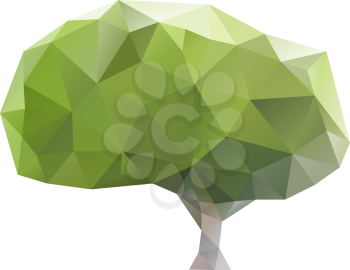 Green tree made of color triangle polygons vector illustration.