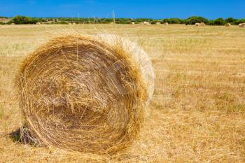 Straw roll bale on the farmland in sunny day at Menorca, Spain.