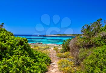 Footpath along the sea at the south coast of Menorca island, Spain.