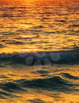 Sea water surface with setting sun light reflection vertical background.