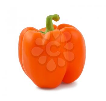 Royalty Free Clipart Image of a Single Fresh Pepper