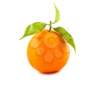 Royalty Free Photo of a Ripe Tangerine
