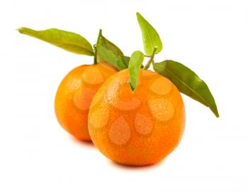 Royalty Free Photo of Two Ripe Tangerines
