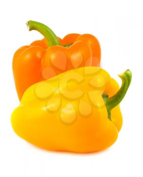 Royalty Free Photo of a Couple Bright Peppers