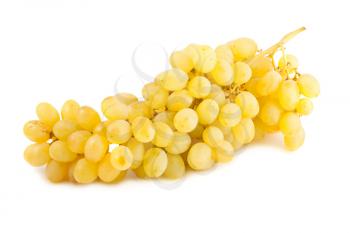 Royalty Free Photo of a Bunch of Fresh Grapes
