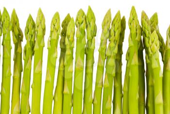 Royalty Free Photo of Fresh Asparagus