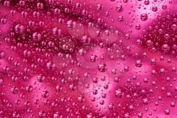 Royalty Free Photo of a Closeup of Water Drops on a Pink Colored Background