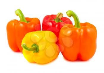 Royalty Free Photo of a Collection of Colorful Peppers