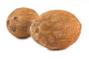 Royalty Free Photo of Two Ripe Coconuts