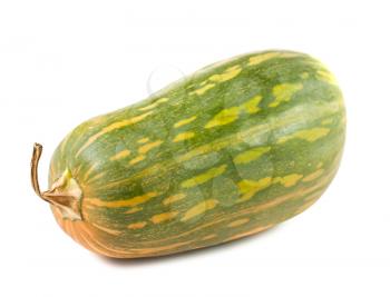 Royalty Free Photo of a Large Squash