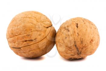 Royalty Free Photo of a Couple of Ripe Walnuts