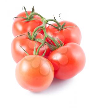 Royalty Free Photo of a Branch of Ripe Tomatoes