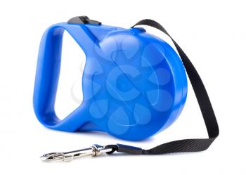 Blue retractable leash for dog isolated on white background