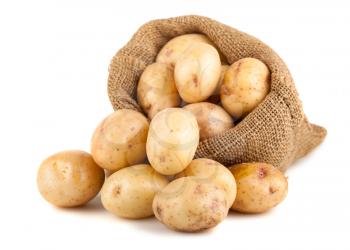 Ripe potatoes in a burlap bag isolated on white background