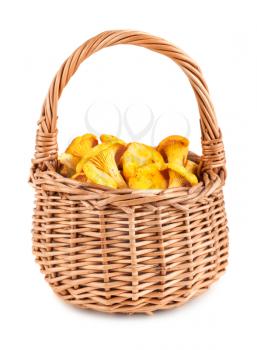 Wicker basket with chanterelle mushrooms on a white background