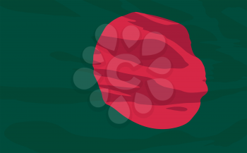 Royalty Free Clipart Image of the Flag of Bangladesh