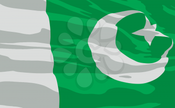 Royalty Free Clipart Image of the Flag of Pakistan