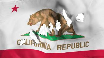 California state flag perforated, bullet holes, white background, 3d rendering