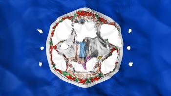 Holes in Virginia state flag, white background, 3d rendering