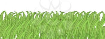 Royalty Free Clipart Image of Green Grass