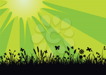 Royalty Free Clipart Image of a Meadow