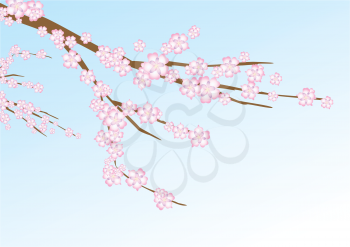 Royalty Free Clipart Image of a Cherry Blossom Branch