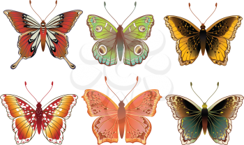 Royalty Free Clipart Image of Colourful Butterflies