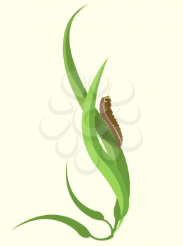 Royalty Free Clipart Image of a Caterpillar on a Plant
