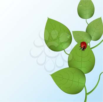 Royalty Free Clipart Image of a Ladybug on Leaves