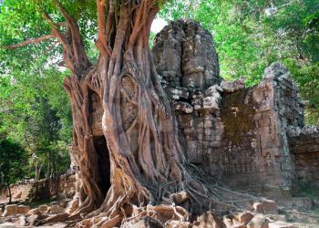 Royalty Free Photo of the Ancient Temple Preah Khan in Siem Reap, Cambodia