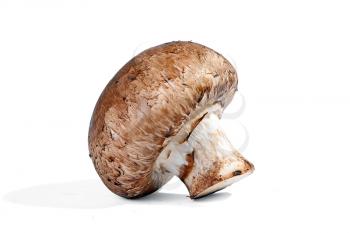 Royalty Free Photo of a Champignon Mushroom