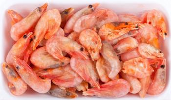 Royalty Free Photo of Frozen Shrimp