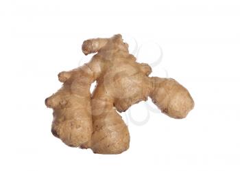 Royalty Free Photo of Ginger Root
