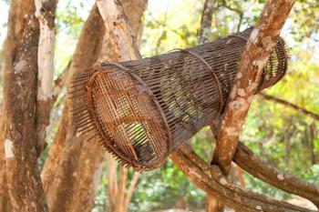 Open birdcage in the tropical forest with beautiful bokeh
