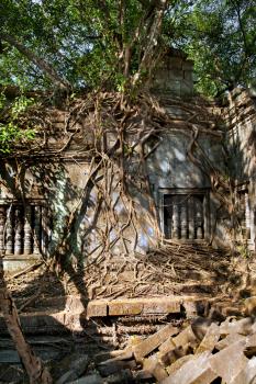 Banyan trees on the wall and window in Beng Mealea temple, Cambodia
