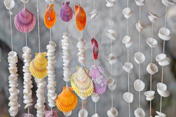 Seashells on thread background on tropical resort
