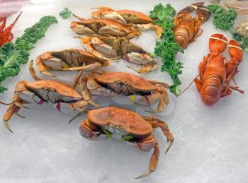 Snow crabs and lobsters on ice in the seafood market
