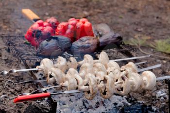 Mushrooms, eggplants and red pepper in smoke on bbq grill
