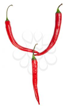 Y letter made from chili, with clipping path
